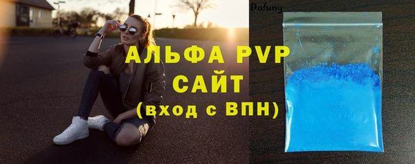 PSILOCYBIN Дмитриев