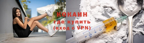 PSILOCYBIN Дмитриев