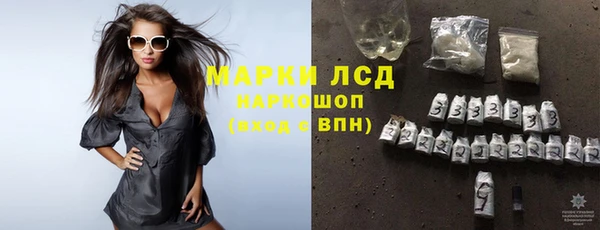 PSILOCYBIN Дмитриев