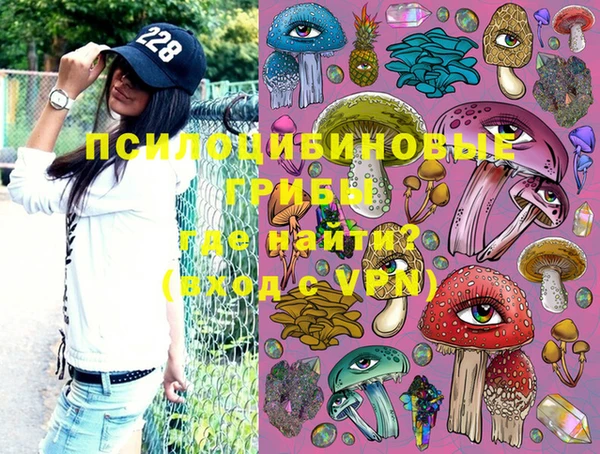 PSILOCYBIN Дмитриев