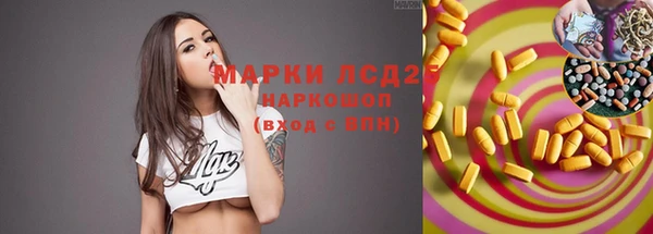 PSILOCYBIN Дмитриев