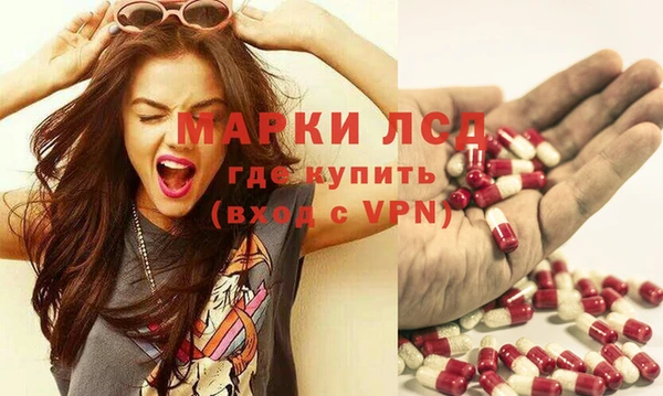 гашик Дмитровск