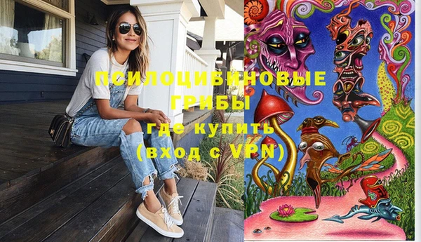 PSILOCYBIN Дмитриев