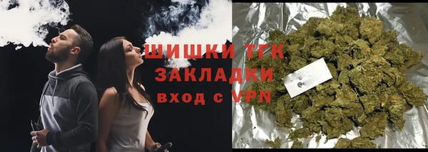 PSILOCYBIN Дмитриев