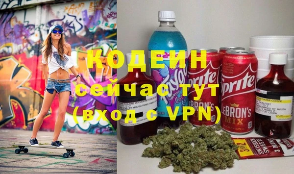гашик Дмитровск