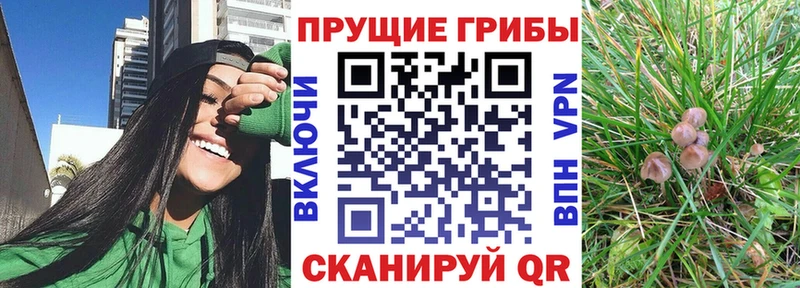 Псилоцибиновые грибы мицелий Искитим