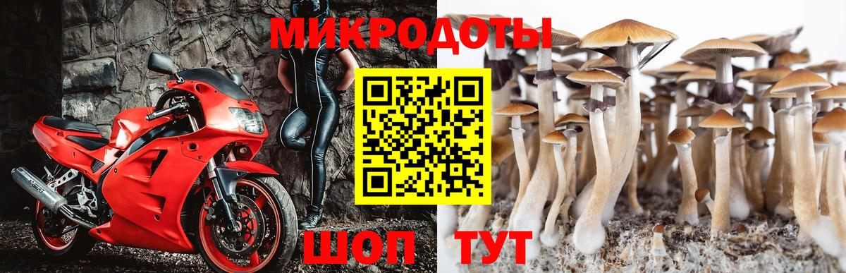 Псилоцибиновые грибы мицелий  Искитим 