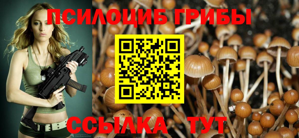 Галлюциногенные грибы Psilocybine cubensis  Вход с VPN  Искитим 